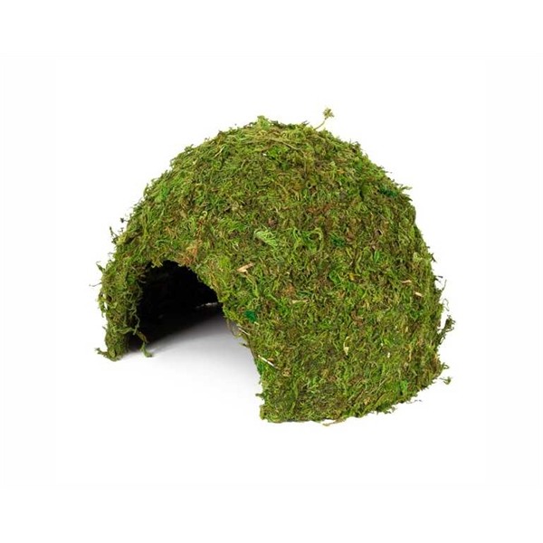 HOBBY TERRARIUM JUNGLE CAVE