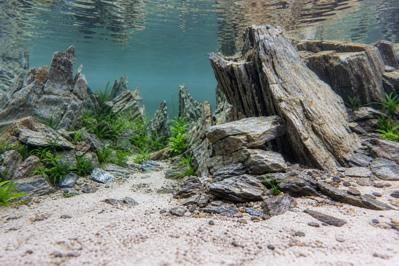 Rotsen in aquarium